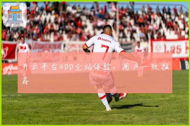开云平台app全站体验，用户一致推荐