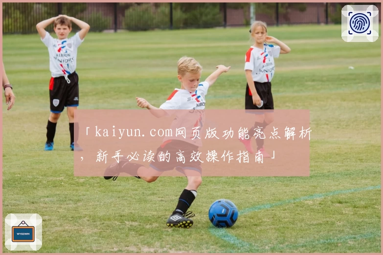 「kaiyun.com网页版功能亮点解析，新手必读的高效操作指南」